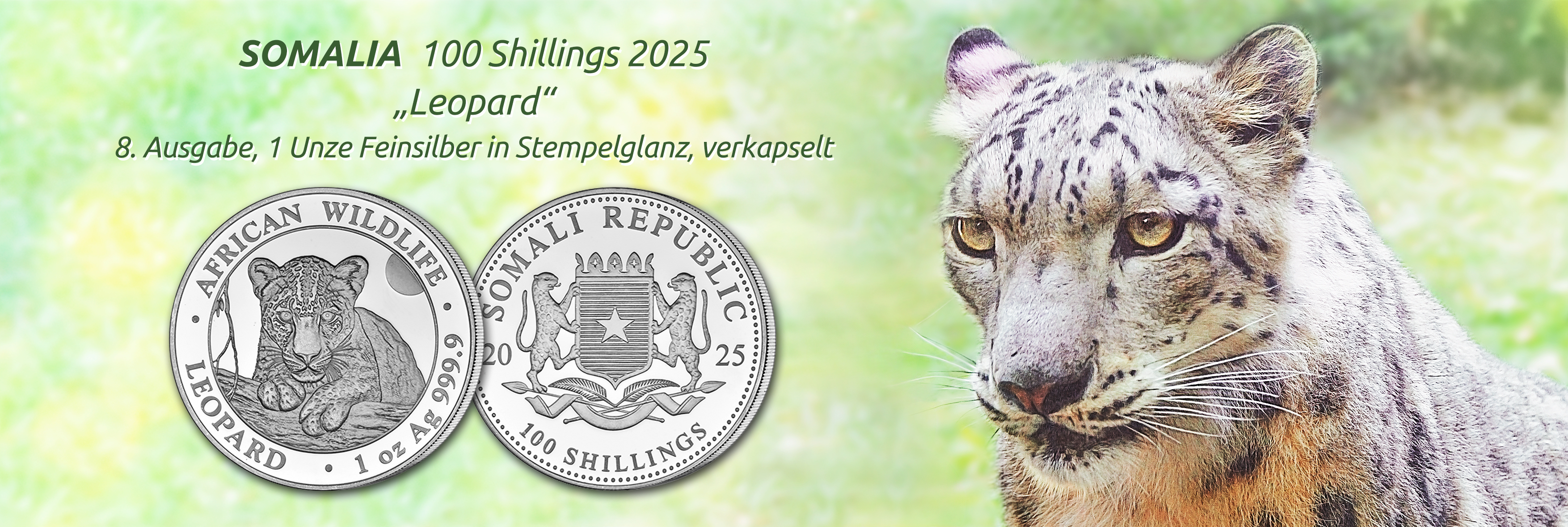 Somalia - 100 Shillings 2025 