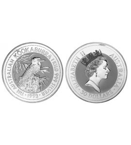 Australien Kookaburra