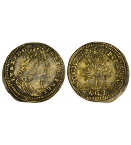 Nürnberg, Rechenpfennig 